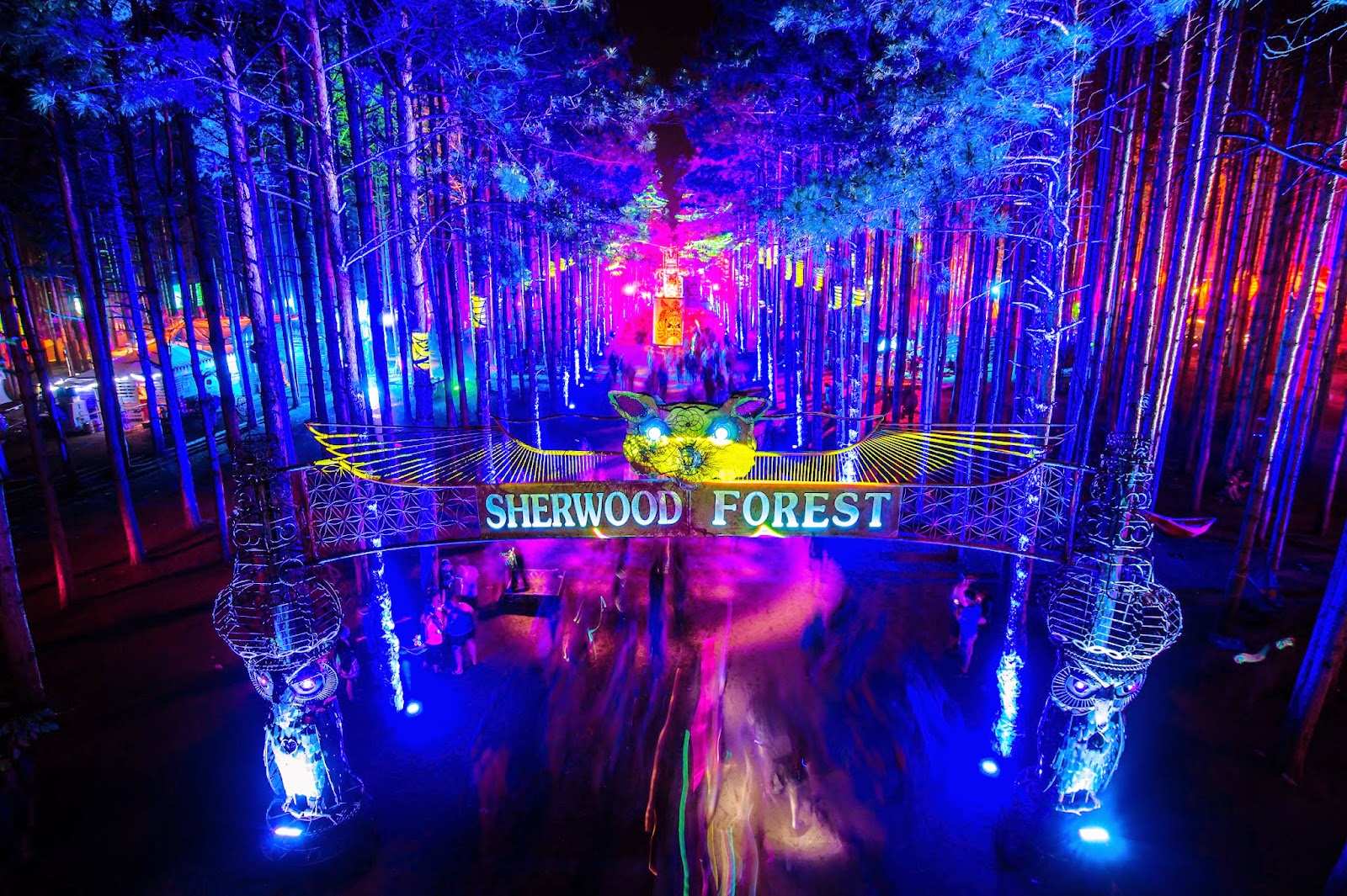 Everything You Need to Know About Electric Forest Festival